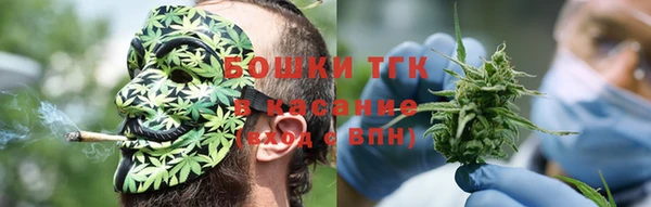 гидра Елабуга