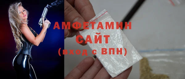 гидра Елабуга