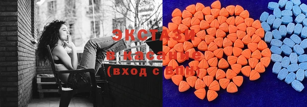 индика Зеленокумск