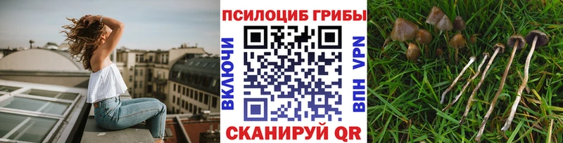 Купить  Сертолово  Галлюциногенные грибы ЛСД 