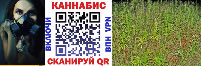 Купить где  Сертолово  МАРИХУАНА план 